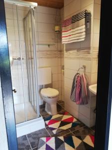 uma casa de banho com um WC e uma cabina de duche em vidro. em Ferienwohnung Außerlechner em Kartitsch