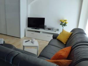 a living room with a couch and a tv at Pirna-Apartment in Pirna