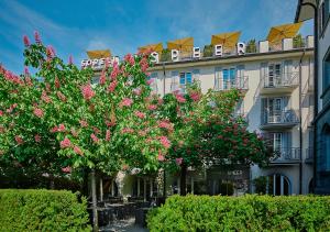 Zahrada ubytování Sorell Hotel Speer