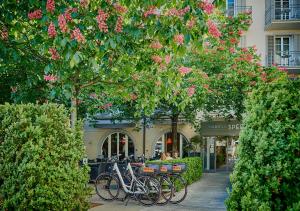 Zahrada ubytování Sorell Hotel Speer