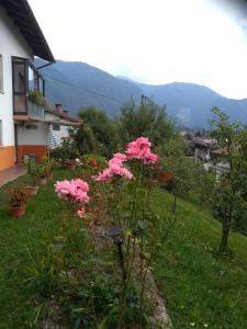 un grupo de flores rosas en un patio en Sobe Černilogar en Tolmin