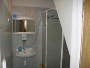 a bathroom with a shower and a sink at Apartma Šťastný III in Bechyně