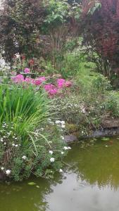 Tardets-SorholusHôtel Restaurant Du PONT D'ABENSE的相册照片 更多15张照片