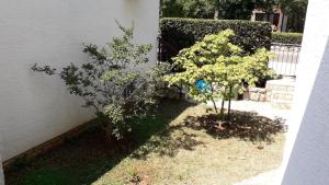 Zahrada ubytování Apartments Svjeta