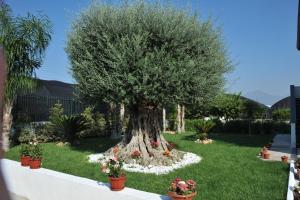 A garden outside B&B Cascina Fiorita