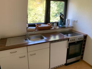 a small kitchen with a sink and a stove at Ferienwohnung am Bramschebach in Löhne