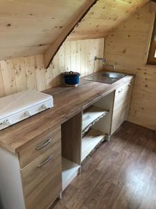 a kitchen with a counter in a wooden cabin at Suška Koča in Stahovica