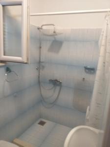 een badkamer met een douche, een toilet en een wastafel bij Apartment Onix in Brodarica