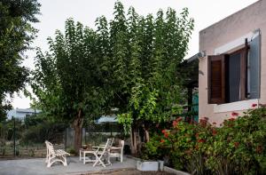 a patio with chairs and a tree in front of a house at Filia Rooms in Matala
