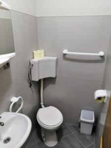 La salle de bains est pourvue de toilettes et d'un lavabo. dans l'établissement Apartments Brlečić, à Pirovac