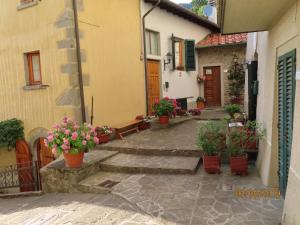 Zahrada ubytování B&B Scacco Matto