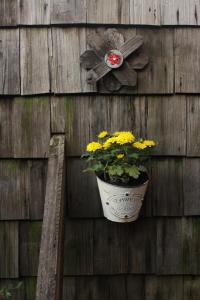 un pot de fleurs sur un mur en bois avec une plante dans l'établissement Palafito Ayün, à Castro