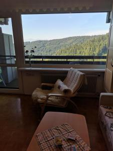 Nespecifikovaný výhled na hory nebo výhled na hory při pohledu z apartmánu