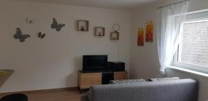 TV a/nebo společenská místnost v ubytování Ferienwohnung Tauschmann