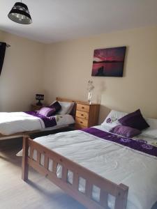 2 Betten in einem Zimmer mit lila Kissen in der Unterkunft Willies cottage in Donegal