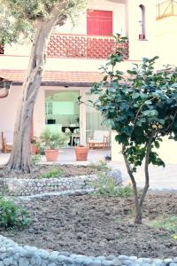 a garden with a tree and a house at Masseria Torca - Isca in Massa Lubrense
