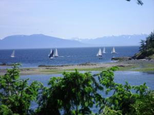 een groep boten die in het water varen bij Hammond Bay Oceanside Guesthouse in Nanaimo
