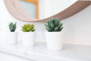 three white pots with plants on a counter in front of a mirror at dreamlike APARTMENT in Oberndorf