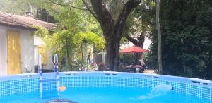 a swimming pool with a red umbrella and a tree at maison aux volets jaunes in Les Angles Gard