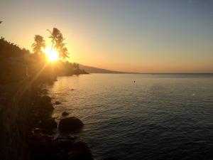 a sunset over a body of water with a palm tree at Pantai Paris Homestay in Maumere