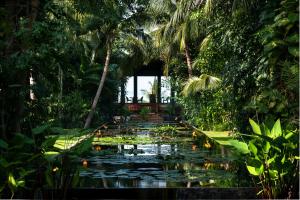 a garden with a pond with lilies in it at Anantara Bophut Koh Samui Resort in Bophut