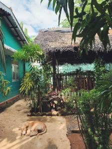Giardino di Alass Ga For Pets Lovers
