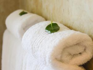 two rolls of toilet paper with a green leaf on it at 3 On Camps Bay in Cape Town +37 photos