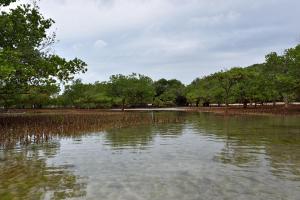 une grande masse d'eau avec des arbres à l'arrière-plan dans l'établissement Bahari Pori Resort, à Pangani
