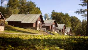 a row of wooden buildings on a hill with trees at Bungalovy-Pustevny in Pustevny