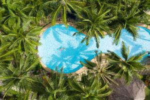 an overhead view of a swimming pool with palm trees at South Palms Resort Panglao in Panglao Island