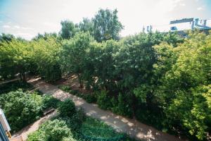 イヴァノヴォにあるАпартаменты на улице Генкинойの木々のある庭園の上空の景色