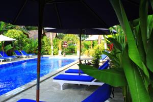 Piscina di Turtle Beach Hotel o nelle vicinanze