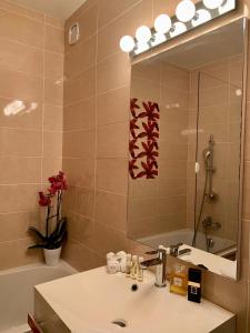 a bathroom with a sink and a mirror at Brun in Saint-Lattier