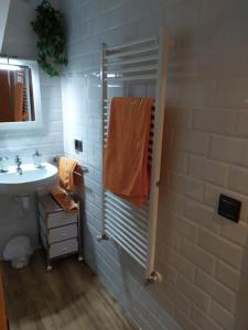 a bathroom with a sink and a shower at Casa Rural El Cabo in Carucedo