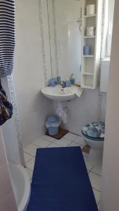 a small bathroom with a sink and a toilet at Apartments Lopar story in Lopar