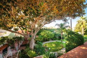 un jardin avec un arbre et un sentier dans l'établissement Hotel Continental Ischia, à Ischia