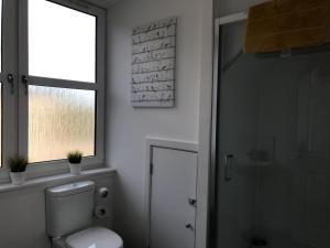 uma casa de banho com um WC, uma janela e um chuveiro em Carvetii - Edward House C - 2 Dbl bed 2nd floor flat em Dunfermline