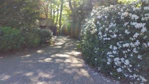 Zahrada ubytování Ferienwohnung Morgensonne