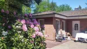 Zahrada ubytování Ferienwohnung Morgensonne