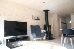 uma sala de estar com uma televisão de ecrã plano e uma lareira em Myrkdalen Resort Årmotssteien em Vossestrand