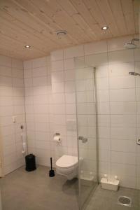 a bathroom with a toilet and a glass shower at Myrkdalen Resort Årmotssteien in Vossestrand