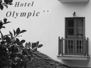 Fotografie z fotogalerie ubytování Hotel Olympic v destinaci Metsovo