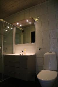 y baño con aseo, lavabo y espejo. en Myrkdalen Resort Vårstølen apartment, en Vossestrand