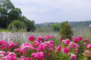 Φυσικό τοπίο κοντά σε αυτή η εξοχική κατοικία