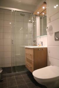 ein Bad mit einer Dusche, einem WC und einem Waschbecken in der Unterkunft Myrkdalen Resort- studio apartment in Vossestrand