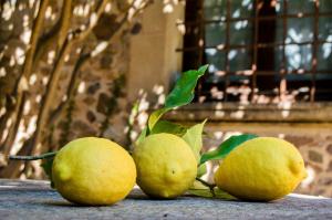 Fotografie z fotogalerie ubytování Turisme Rural - Mas Vilà - Monells v destinaci La Bisbal
