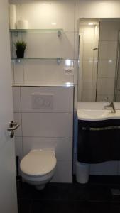een badkamer met een toilet, een wastafel en een spiegel bij Seaside Appartement 458 Vier Jahreszeiten in Hahnenklee-Bockswiese