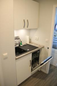 een keuken met een wastafel en een vaatwasser bij Seaside Appartement 458 Vier Jahreszeiten in Hahnenklee-Bockswiese