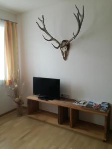 TV a/nebo společenská místnost v ubytování Ferienwohnung Lechner Daniel