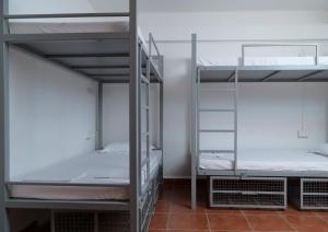 two bunk beds in a dorm room with a room with two at The White Balcao in Panaji